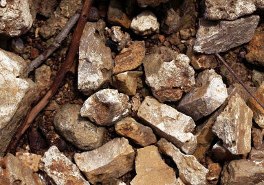 课程管理平台的短信轰炸机网页版在线